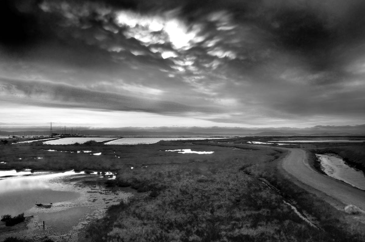 Hayward Marsh Hayward Marsh